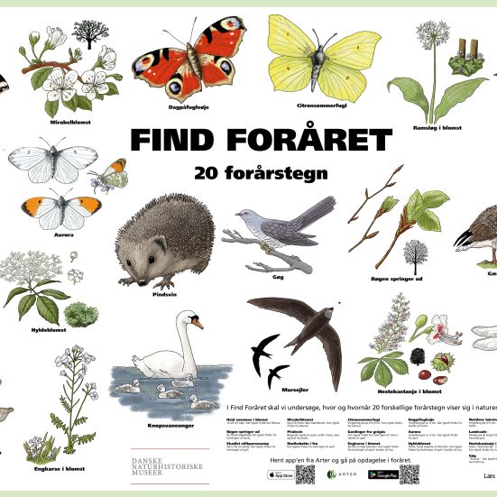 En plakat med forårstegn på. 