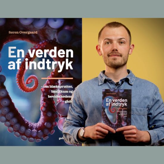 Bibliotekets litteraturformidler Stinus holder bogen "En verden af indtryk"