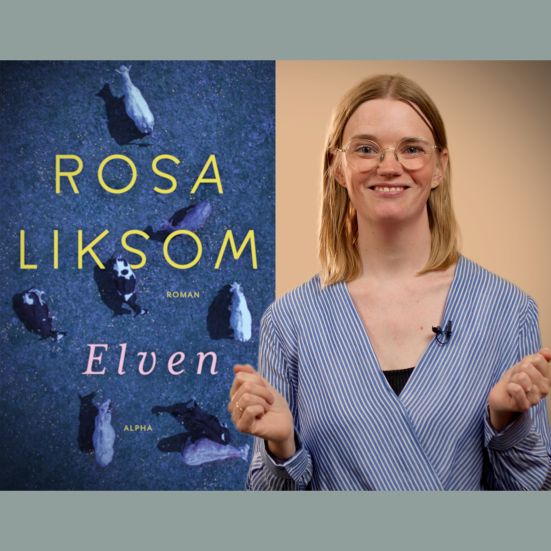 Bibliotekets litteraturformidler Mette foran bogen "Elven"