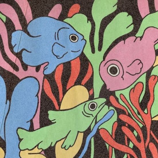 Tre fisk der grafisk er lavet i flotte farver på en baggrund af alger 