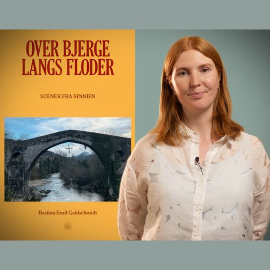 Bibliotekets litteraturformidler Mette foran bogen "Over bjerge langs floder"