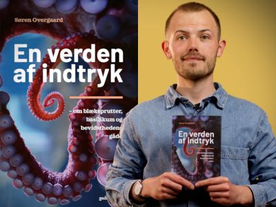 Bibliotekets litteraturformidler Stinus holder bogen "En verden af indtryk"