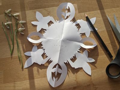 Vintergækker, gækkebrev og saks på et bord