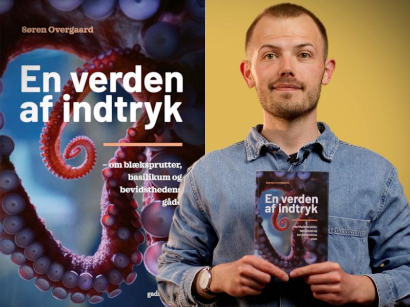 Bibliotekets litteraturformidler Stinus holder bogen "En verden af indtryk"