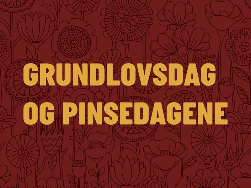 Grundlovsdag og pinsedagene