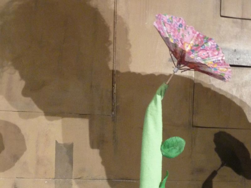 Blomst og skygge af mand