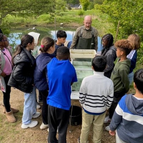 Børn ser på dyr i akvarium 