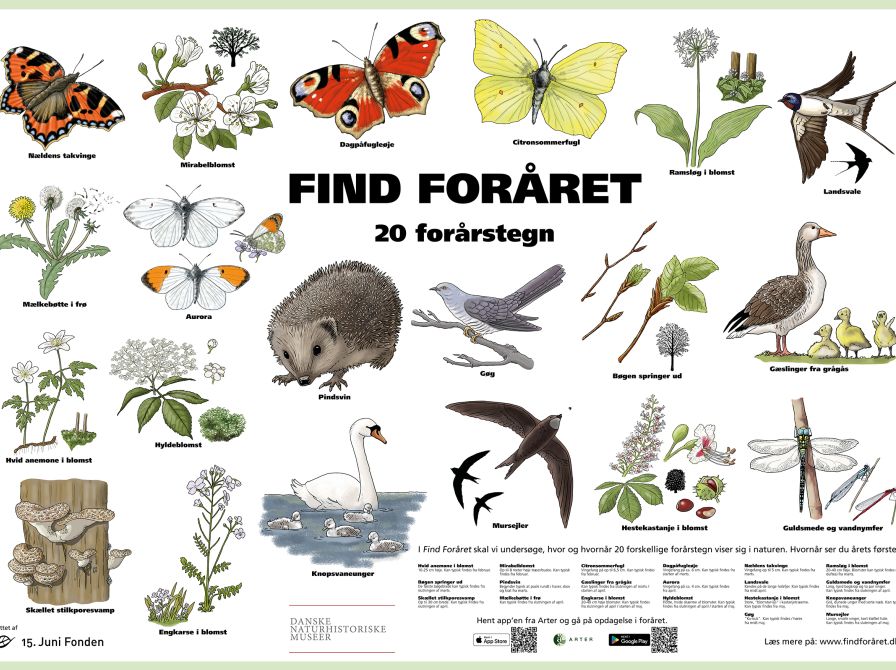 En plakat med forårstegn på.