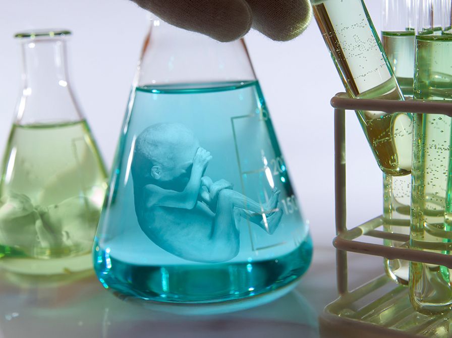 fostre i reagensglas