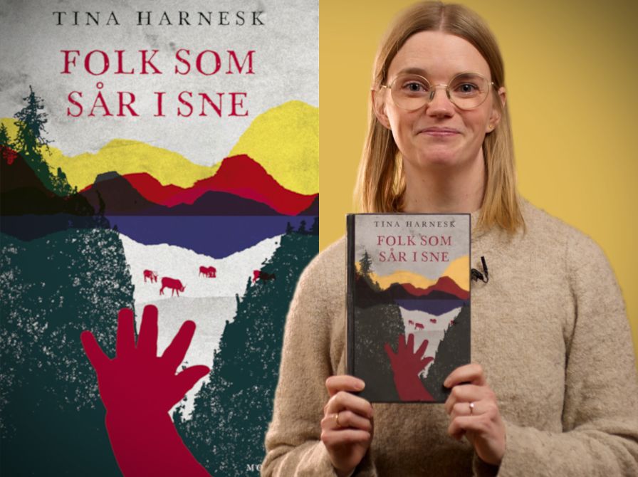 Bibliotekets litteraturformidler Mette holder bogen "Folk som sår i sne"