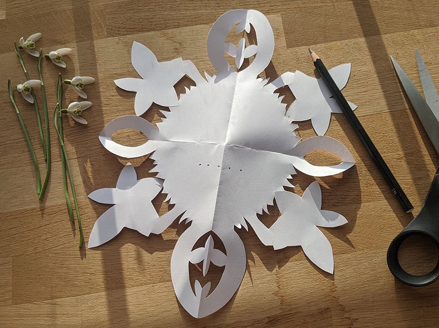 Vintergækker, gækkebrev og saks på et bord